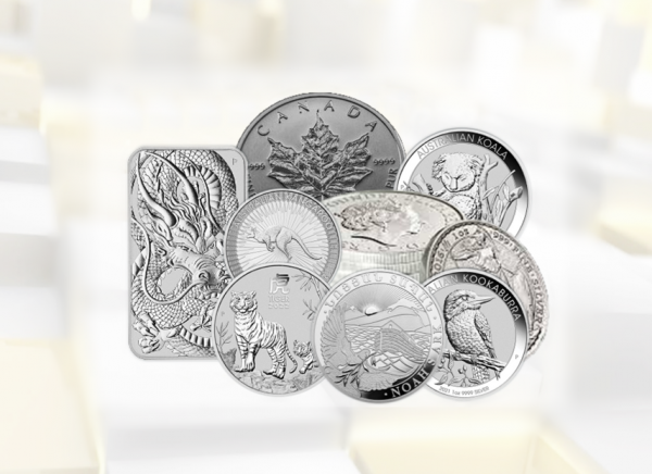 Silber - Premium Investmentpaket