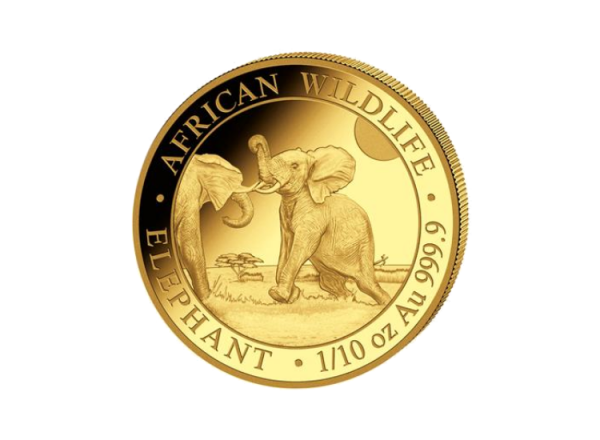 1/10 oz Gold Somalia Elefant