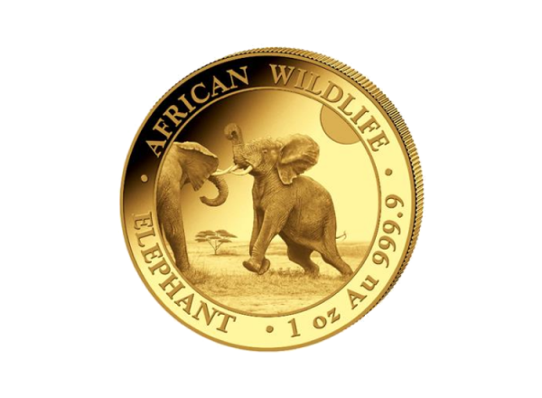 1 oz Gold Somalia Elefant