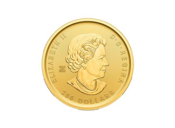 1 oz Gold Klondike Goldrausch - Weg des Goldes – Bild 4