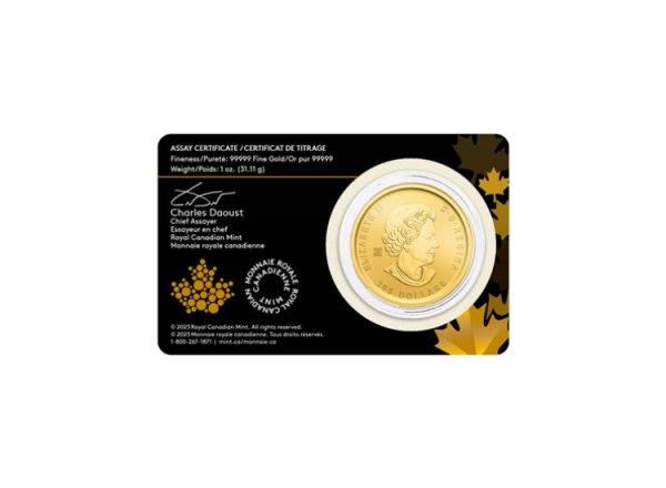 1 oz Gold Klondike Goldrausch - Weg des Goldes – Bild 3