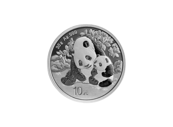 30 g Silber Panda - 2024